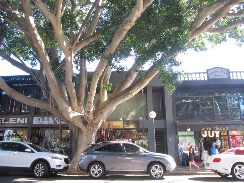 Suite 2, 6 Cross Street, Double Bay NSW 2028