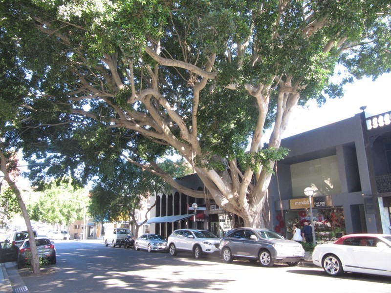 Suite 2, 6 Cross Street, Double Bay NSW 2028