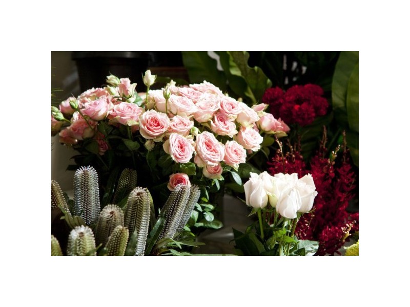 77-79 Bay Street, Glebe NSW 2037