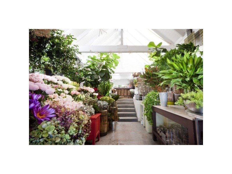 77-79 Bay Street, Glebe NSW 2037