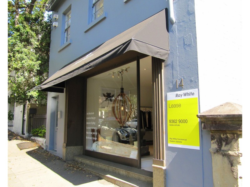 14 Moncur Street, Woollahra NSW 2025