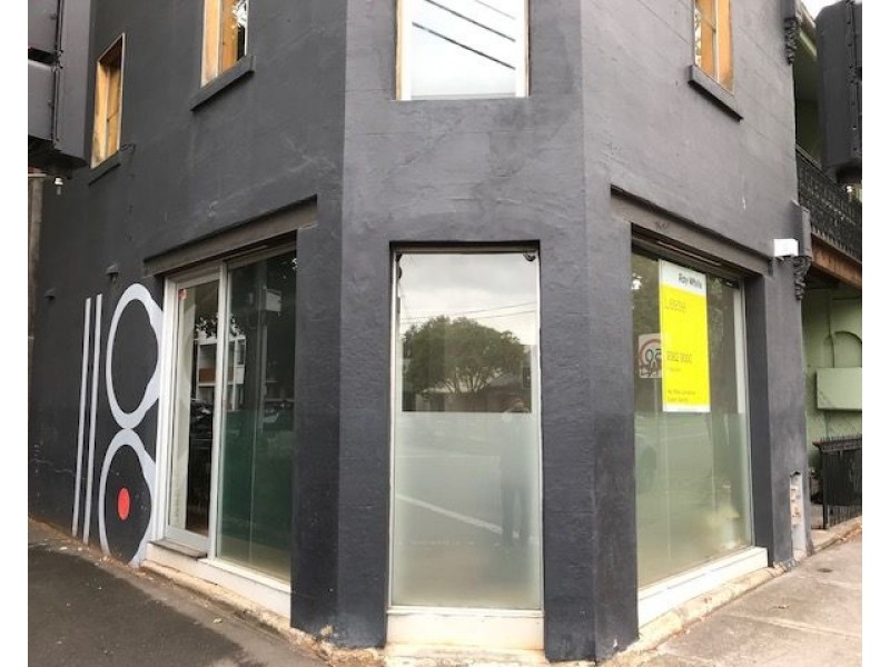 118 Wyndham Street, Alexandria NSW 2015