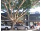 Suite 2, 6 Cross Street, Double Bay NSW 2028