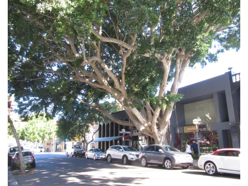 Suite 2, 6 Cross Street, Double Bay NSW 2028