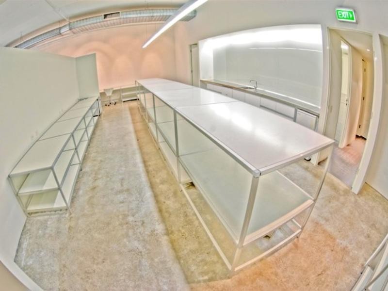 85 McLachlan Avenue, Rushcutters Bay NSW 2011