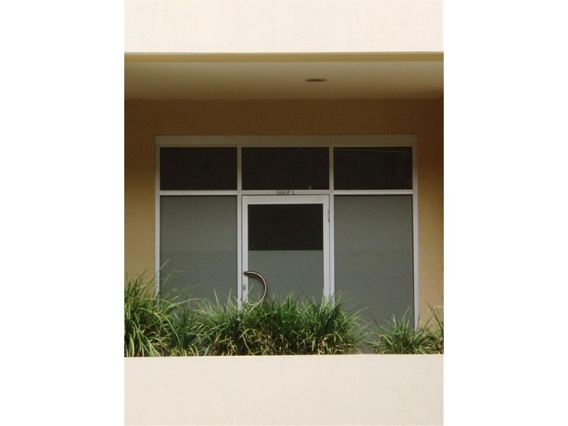 Shop L, 1 Shirley Street, Alexandria NSW 2015