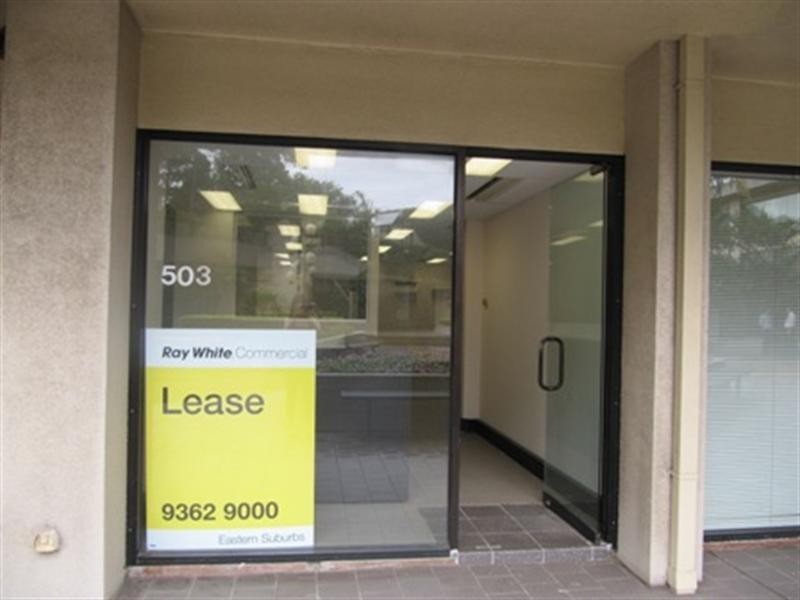 Suite 503, 180 Ocean Street, Edgecliff NSW 2027