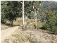 Doyles Creek NSW 2330