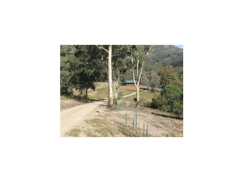 Doyles Creek NSW 2330