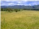 Jerrys Plains NSW 2330