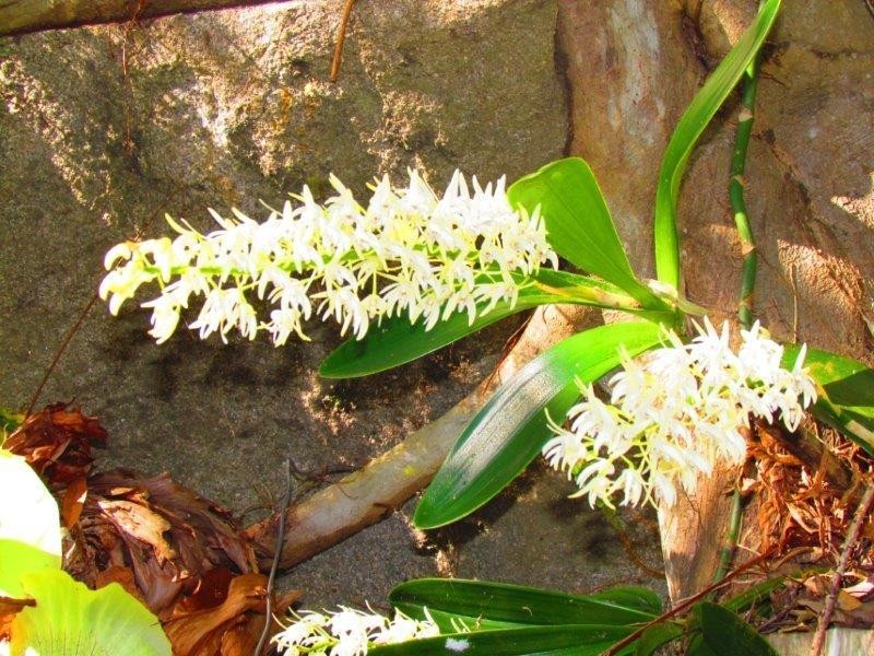 488 Scotts Head Road, Way Way NSW 2447