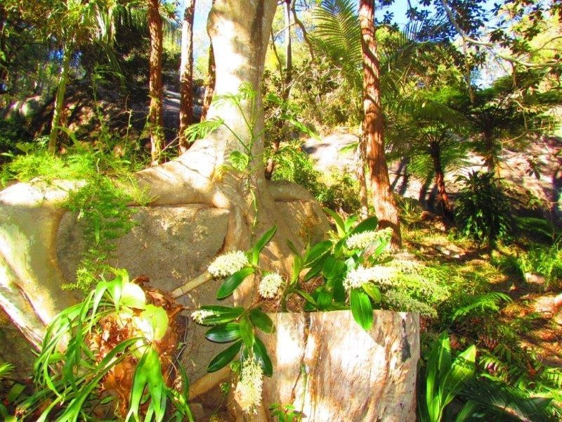 488 Scotts Head Road, Way Way NSW 2447