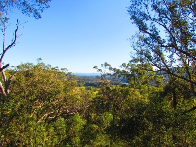 488 Scotts Head Road, Way Way NSW 2447