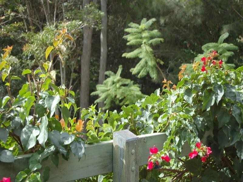 5 Shores Close, Valla Beach NSW 2448