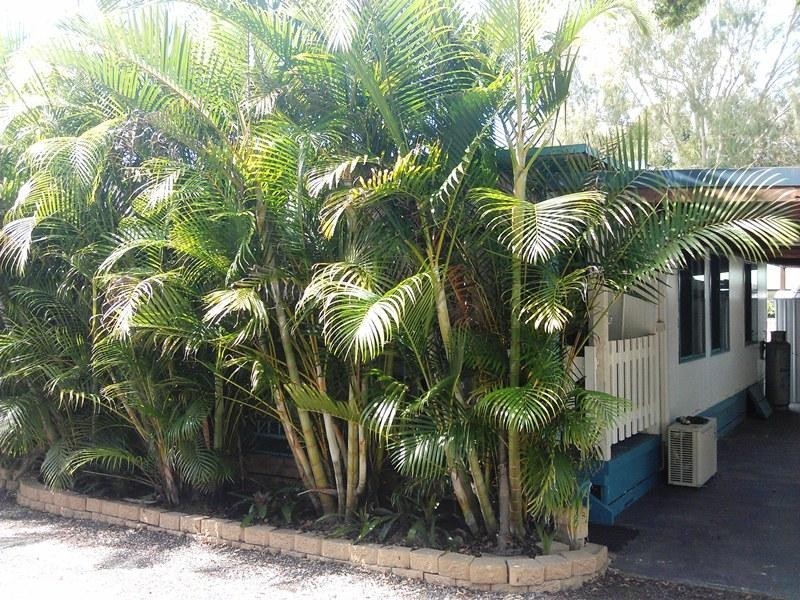 127 Nambucca Beach Holiday Park, Nambucca Heads NSW 2448