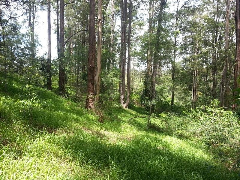 Lot 63 Old Coast Road, Nambucca Heads NSW 2448