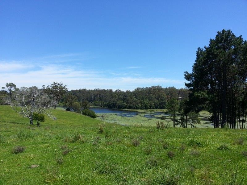 Lot 42 Old Coast Road, North Macksville NSW 2447