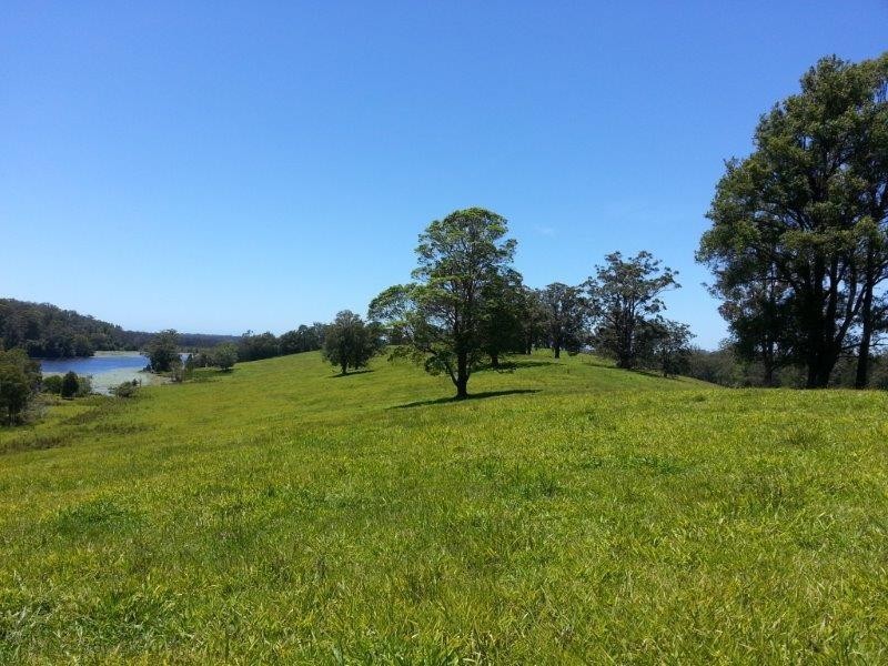 Lot 42 Old Coast Road, North Macksville NSW 2447