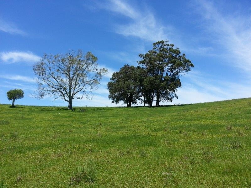 Lot 42 Old Coast Road, North Macksville NSW 2447