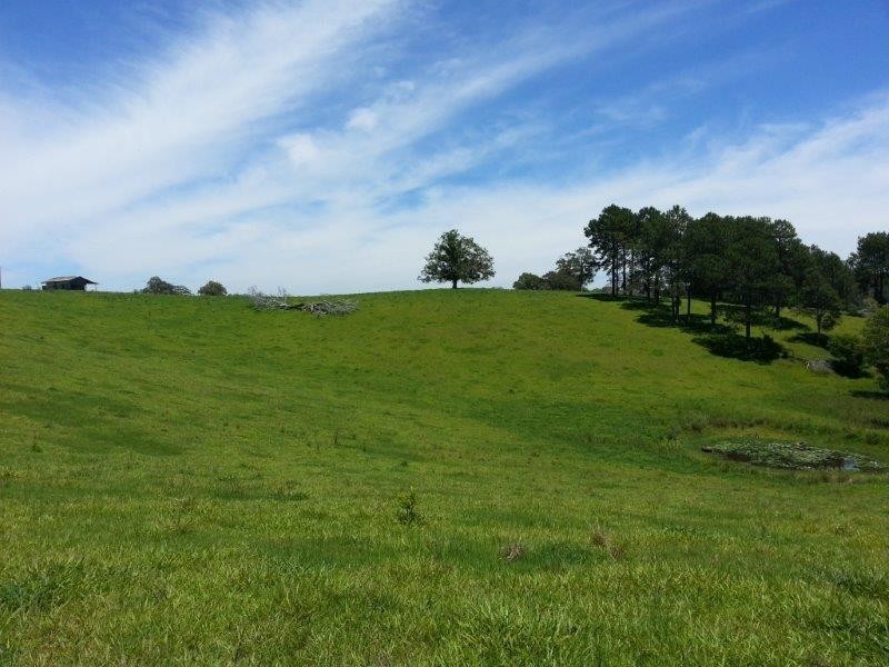 Lot 42 Old Coast Road, North Macksville NSW 2447