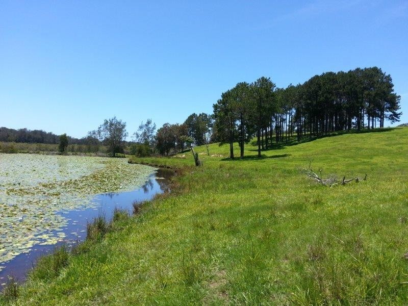 Lot 42 Old Coast Road, North Macksville NSW 2447