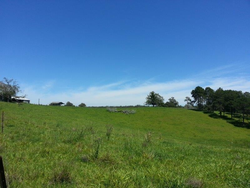 Lot 42 Old Coast Road, North Macksville NSW 2447