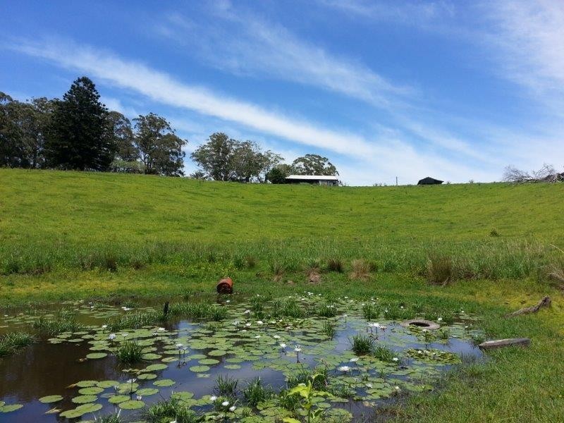 Lot 42 Old Coast Road, North Macksville NSW 2447