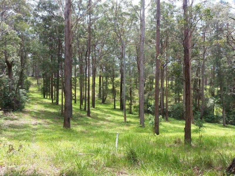 Lot 64 Old Coast Road, Nambucca Heads NSW 2448