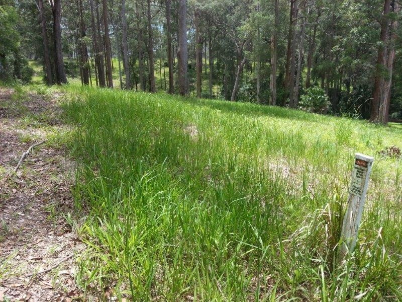 Lot 64 Old Coast Road, Nambucca Heads NSW 2448