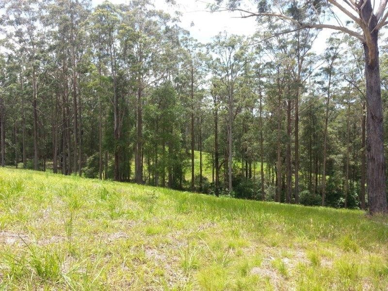 Lot 64 Old Coast Road, Nambucca Heads NSW 2448