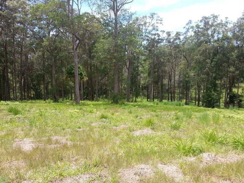 Lot 64 Old Coast Road, Nambucca Heads NSW 2448