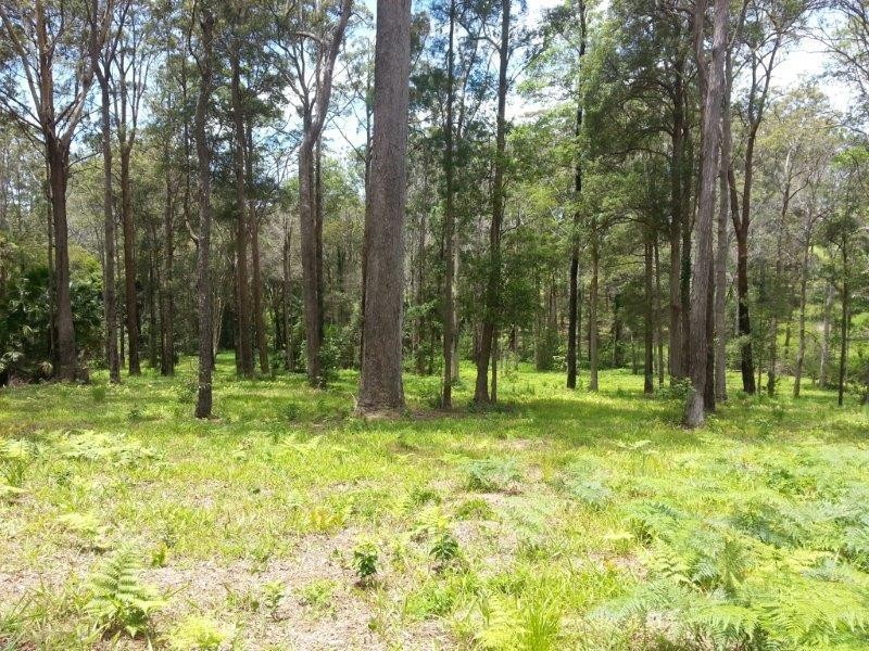 Lot 64 Old Coast Road, Nambucca Heads NSW 2448