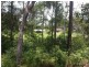 Lot 64 Old Coast Road, Nambucca Heads NSW 2448