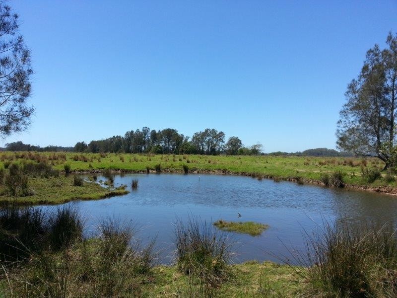 Lot 101 Lumsdens Lane, North Macksville NSW 2447