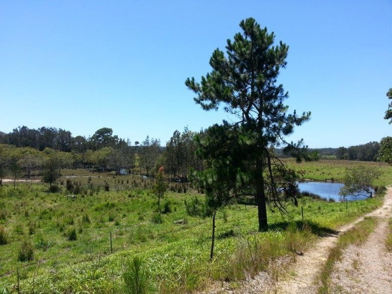 Lot 101 Lumsdens Lane, North Macksville NSW 2447