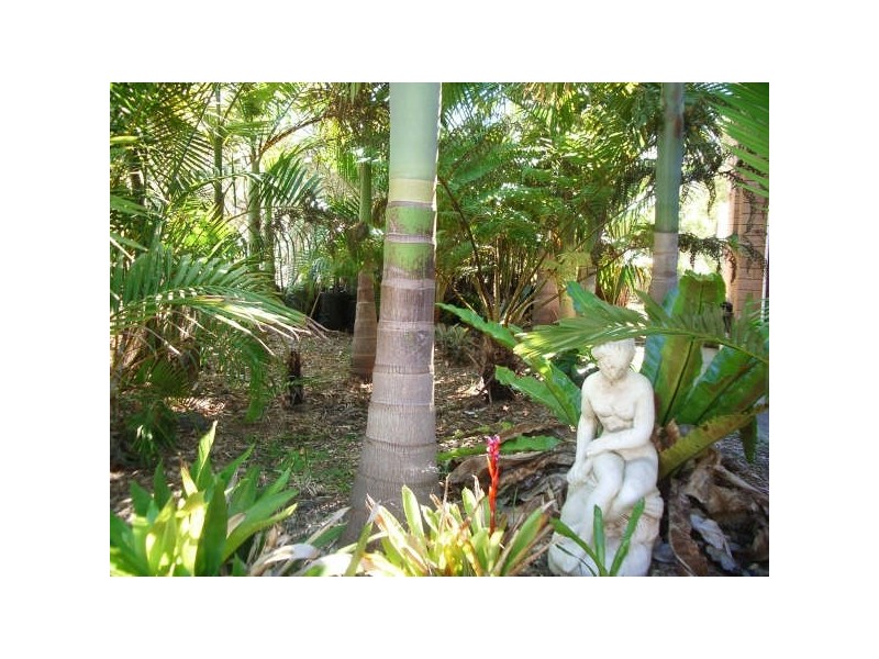 8 Nambucca Drive, Scotts Head NSW 2447