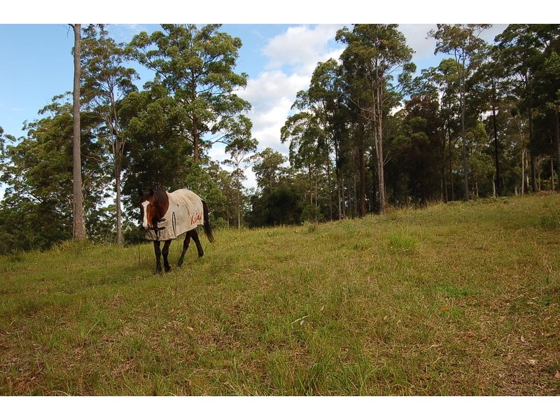 340 Wirrimbi Road, Nambucca Heads NSW 2448