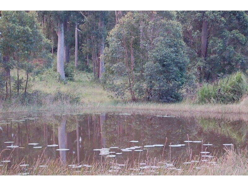 340 Wirrimbi Road, Nambucca Heads NSW 2448