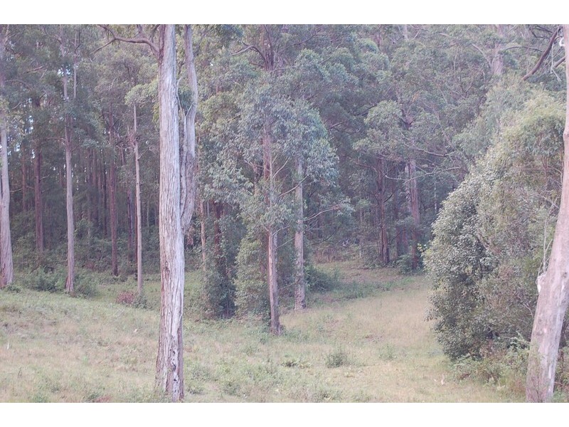 340 Wirrimbi Road, Nambucca Heads NSW 2448