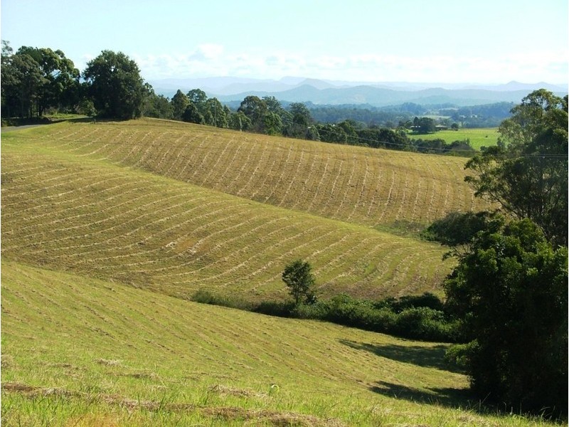 359 Rosewood Road, Warrell Creek NSW 2447