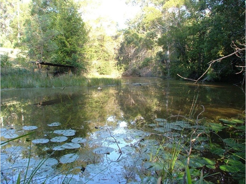 359 Rosewood Road, Warrell Creek NSW 2447