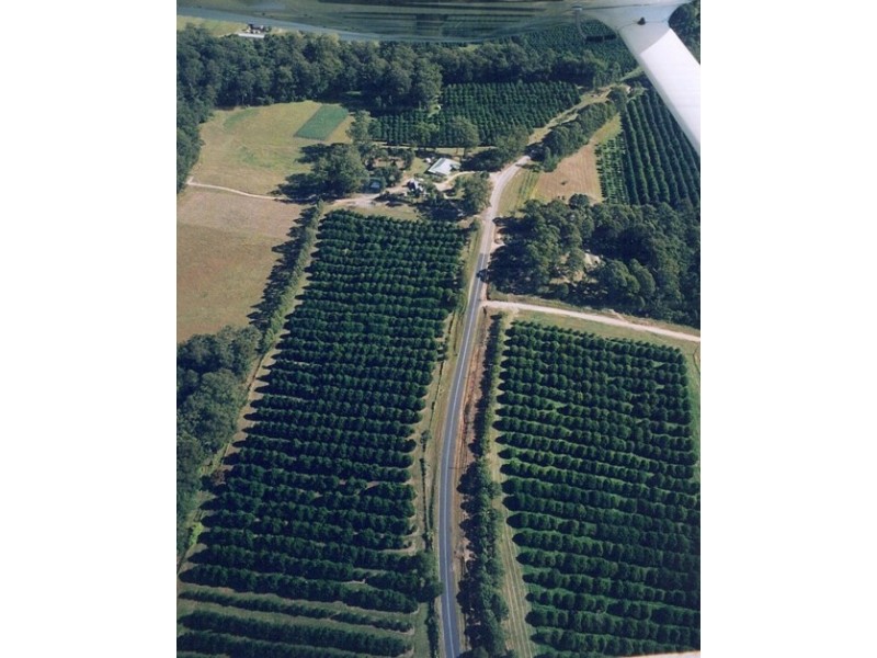 111 East West Road, Valla NSW 2448