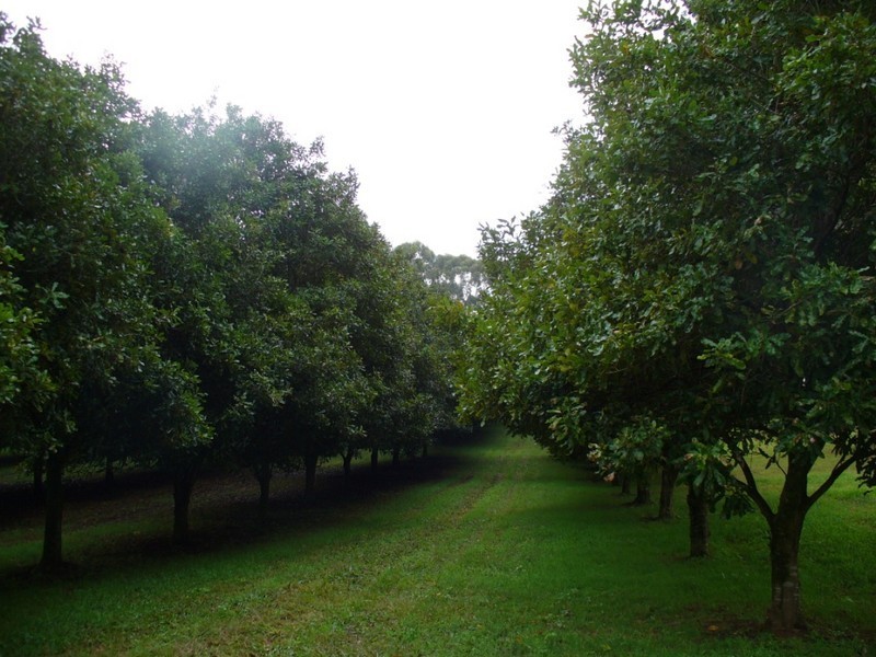 111 East West Road, Valla NSW 2448