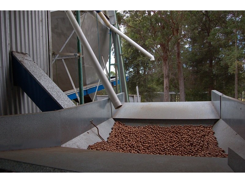 111 East West Road, Valla NSW 2448