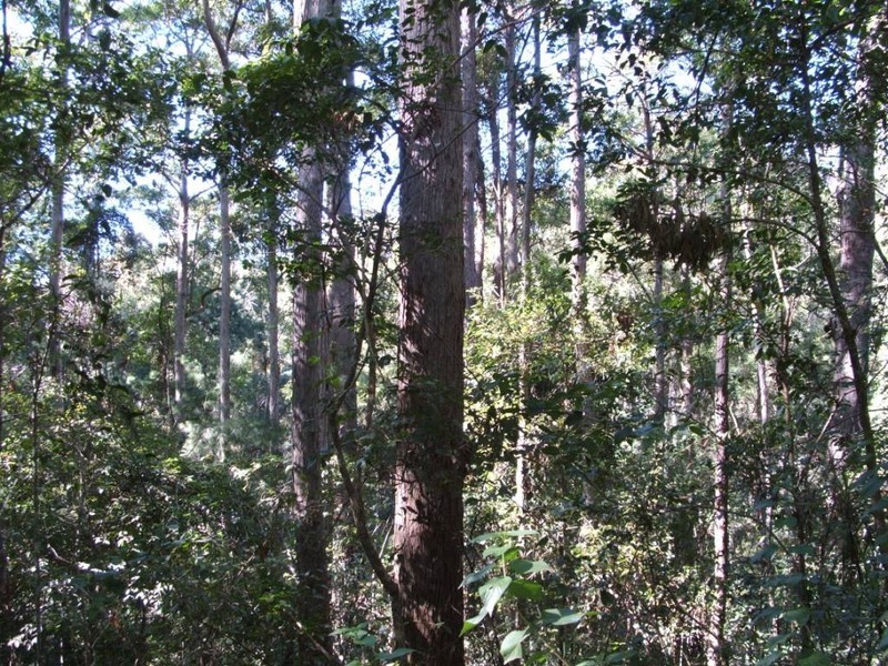 Lot 4 Congarinni rd – Nth, Congarinni NSW 2447