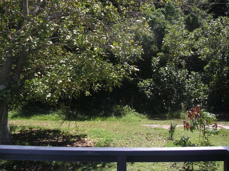 N6 White Albatross, Nambucca Heads NSW 2448