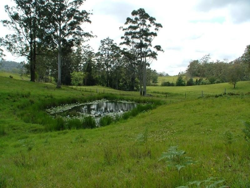 Taylors Arm NSW 2447