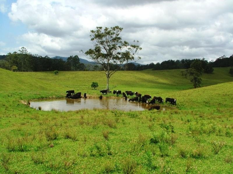 Taylors Arm NSW 2447