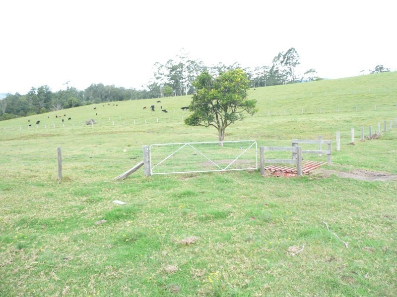 Taylors Arm NSW 2447