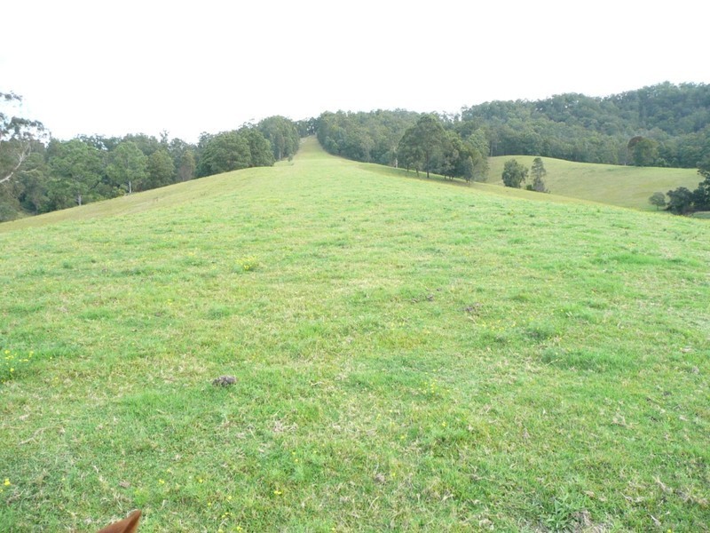 Taylors Arm NSW 2447